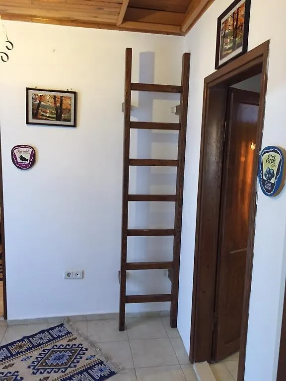 Ala Baykus Butik Hotel Alaçatı Bed & Breakfast